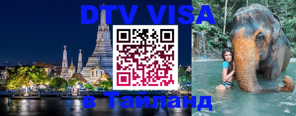 Сколько стоит DTV виза — актуальные цены, оформление даже без документов - 20.11.2025 